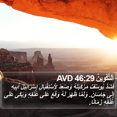 اَلتَّكْوِينُ 46:29 AVD Bible Verse Image
