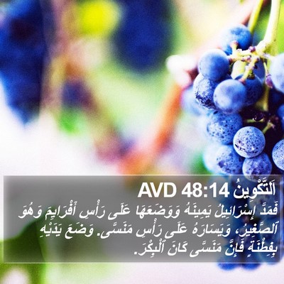 اَلتَّكْوِينُ 48:14 AVD Bible Verse Image