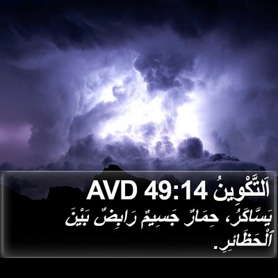 اَلتَّكْوِينُ 49:14 AVD Bible Verse Image