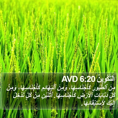 اَلتَّكْوِينُ 6:20 AVD Bible Verse Image