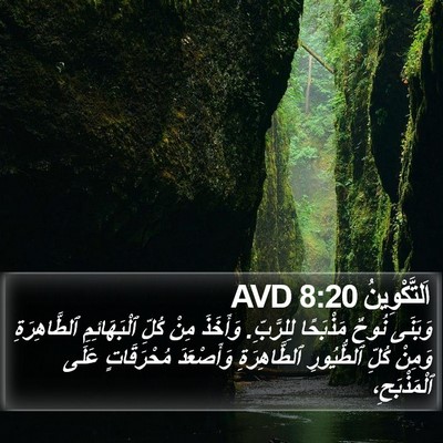 اَلتَّكْوِينُ 8:20 AVD Bible Verse Image