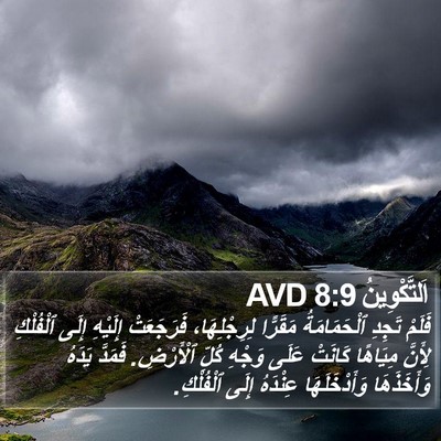 اَلتَّكْوِينُ 8:9 AVD Bible Verse Image