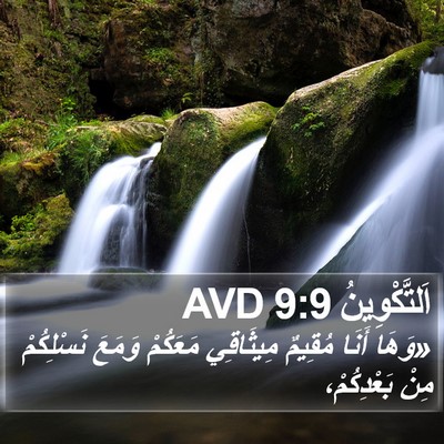 اَلتَّكْوِينُ 9:9 AVD Bible Verse Image