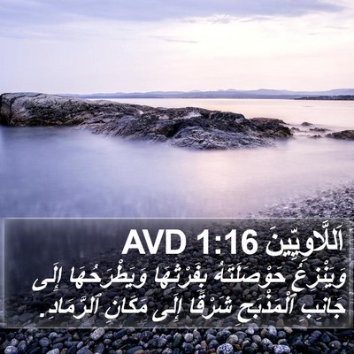 اَللَّاوِيِّينَ 1:16 AVD Bible Verse Image
