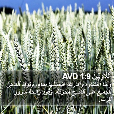 اَللَّاوِيِّينَ 1:9 AVD Bible Verse Image