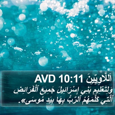 اَللَّاوِيِّينَ 10:11 AVD Bible Verse Image