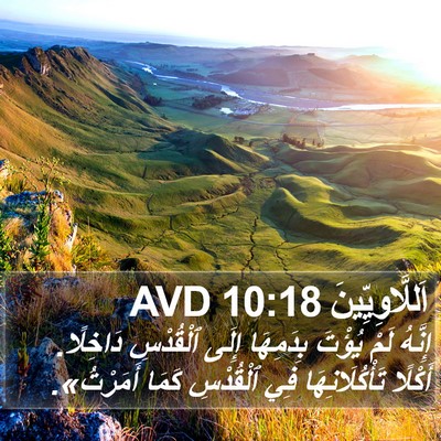 اَللَّاوِيِّينَ 10:18 AVD Bible Verse Image