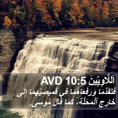 اَللَّاوِيِّينَ 10:5 AVD Bible Verse Image