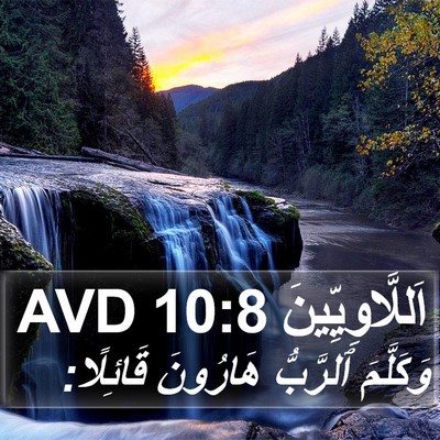 اَللَّاوِيِّينَ 10:8 AVD Bible Verse Image