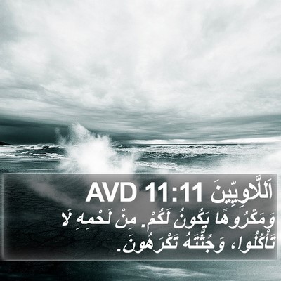 اَللَّاوِيِّينَ 11:11 AVD Bible Verse Image