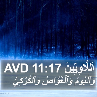 اَللَّاوِيِّينَ 11:17 AVD Bible Verse Image