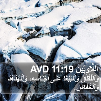 اَللَّاوِيِّينَ 11:19 AVD Bible Verse Image