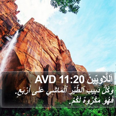 اَللَّاوِيِّينَ 11:20 AVD Bible Verse Image