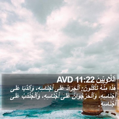 اَللَّاوِيِّينَ 11:22 AVD Bible Verse Image