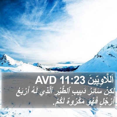 اَللَّاوِيِّينَ 11:23 AVD Bible Verse Image