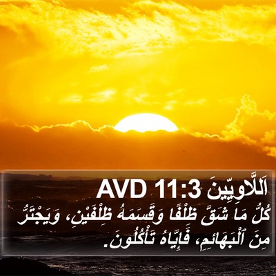 اَللَّاوِيِّينَ 11:3 AVD Bible Verse Image