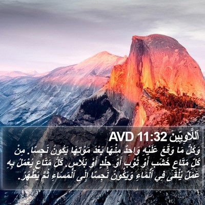 اَللَّاوِيِّينَ 11:32 AVD Bible Verse Image