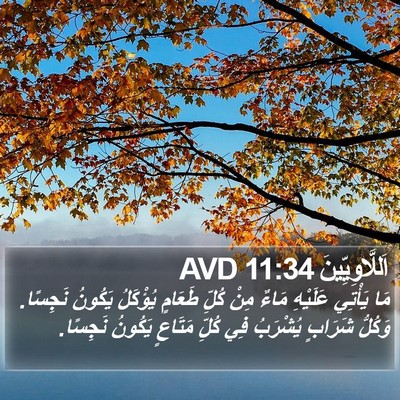 اَللَّاوِيِّينَ 11:34 AVD Bible Verse Image