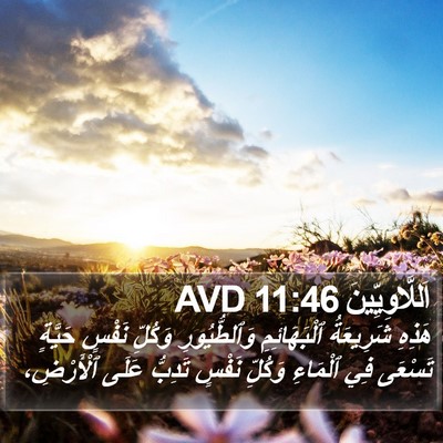 اَللَّاوِيِّينَ 11:46 AVD Bible Verse Image