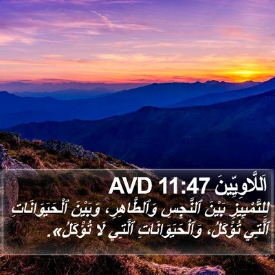 اَللَّاوِيِّينَ 11:47 AVD Bible Verse Image
