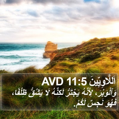 اَللَّاوِيِّينَ 11:5 AVD Bible Verse Image