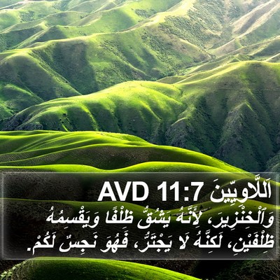 اَللَّاوِيِّينَ 11:7 AVD Bible Verse Image