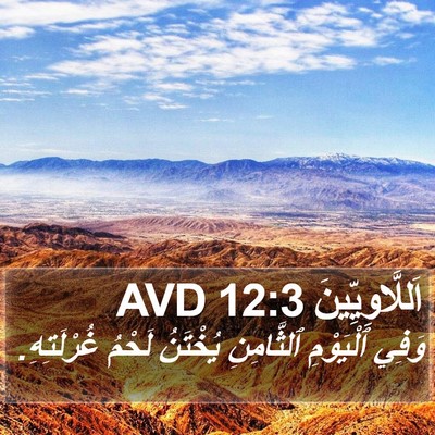 اَللَّاوِيِّينَ 12:3 AVD Bible Verse Image