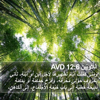 اَللَّاوِيِّينَ 12:6 AVD Bible Verse Image