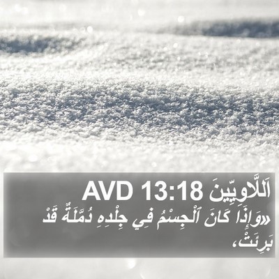 اَللَّاوِيِّينَ 13:18 AVD Bible Verse Image