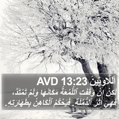 اَللَّاوِيِّينَ 13:23 AVD Bible Verse Image