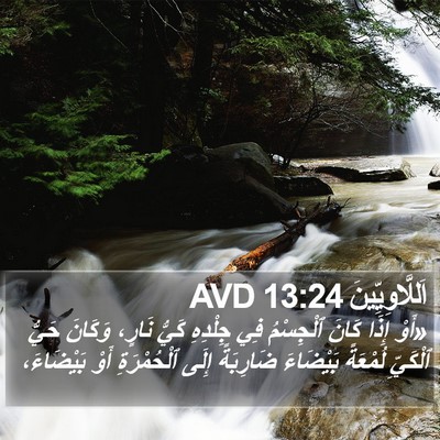 اَللَّاوِيِّينَ 13:24 AVD Bible Verse Image