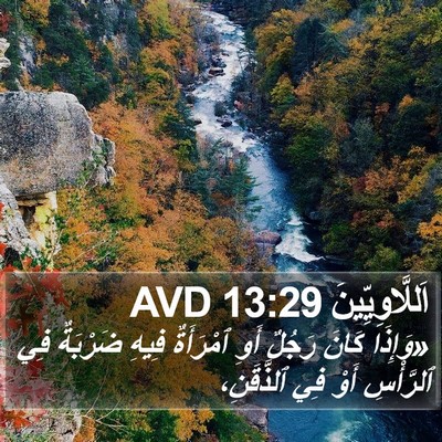 اَللَّاوِيِّينَ 13:29 AVD Bible Verse Image