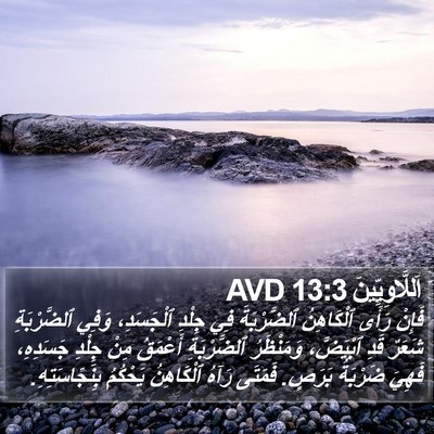 اَللَّاوِيِّينَ 13:3 AVD Bible Verse Image