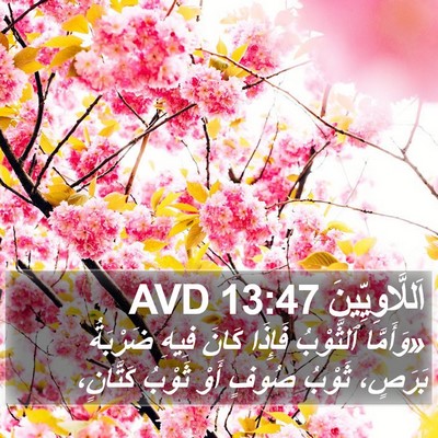 اَللَّاوِيِّينَ 13:47 AVD Bible Verse Image