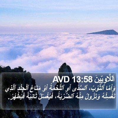 اَللَّاوِيِّينَ 13:58 AVD Bible Verse Image