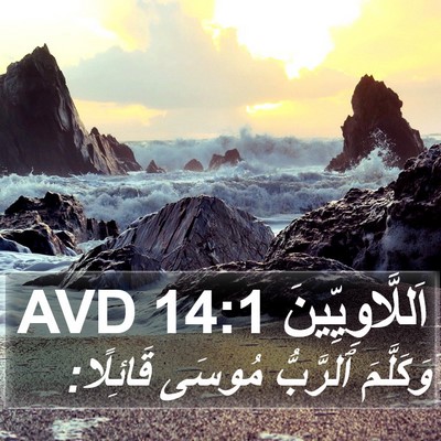 اَللَّاوِيِّينَ 14:1 AVD Bible Verse Image