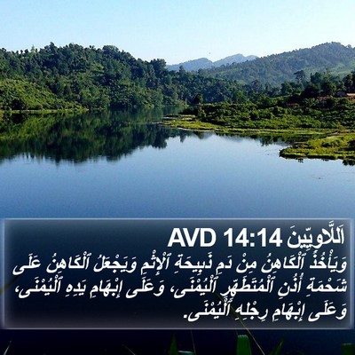 اَللَّاوِيِّينَ 14:14 AVD Bible Verse Image