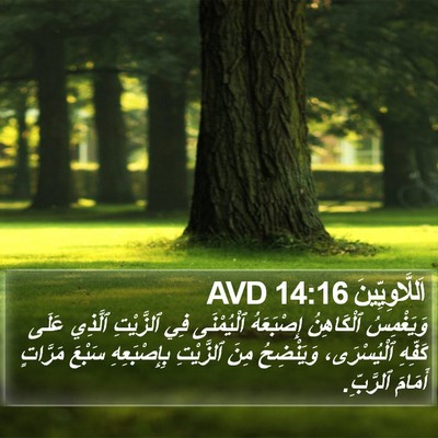 اَللَّاوِيِّينَ 14:16 AVD Bible Verse Image