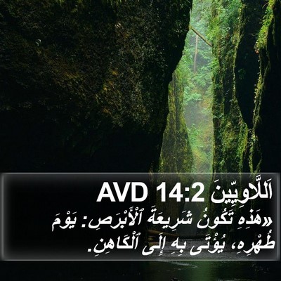 اَللَّاوِيِّينَ 14:2 AVD Bible Verse Image