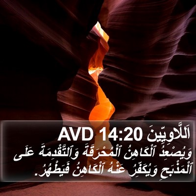 اَللَّاوِيِّينَ 14:20 AVD Bible Verse Image