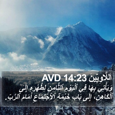 اَللَّاوِيِّينَ 14:23 AVD Bible Verse Image