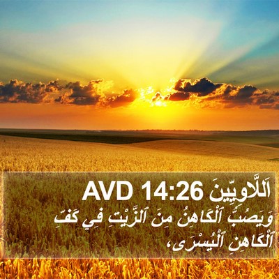 اَللَّاوِيِّينَ 14:26 AVD Bible Verse Image