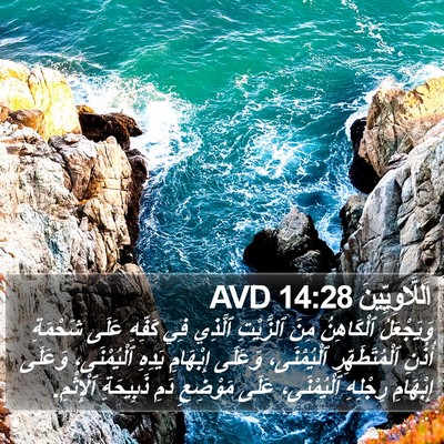 اَللَّاوِيِّينَ 14:28 AVD Bible Verse Image