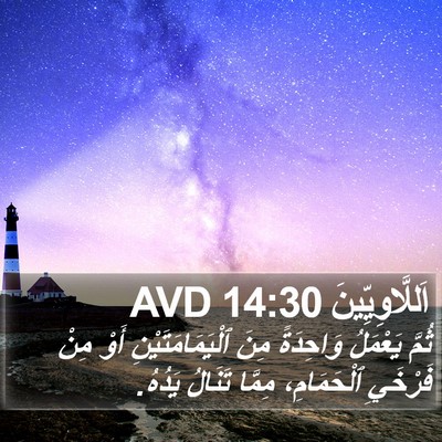 اَللَّاوِيِّينَ 14:30 AVD Bible Verse Image