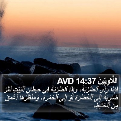 اَللَّاوِيِّينَ 14:37 AVD Bible Verse Image