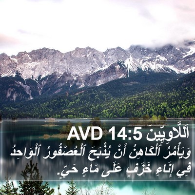 اَللَّاوِيِّينَ 14:5 AVD Bible Verse Image