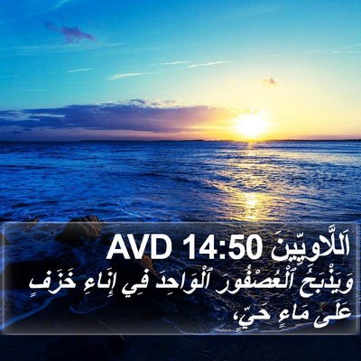 اَللَّاوِيِّينَ 14:50 AVD Bible Verse Image