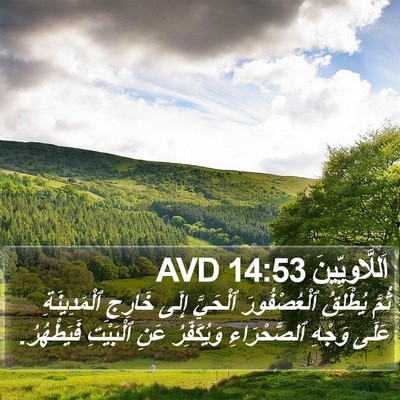 اَللَّاوِيِّينَ 14:53 AVD Bible Verse Image