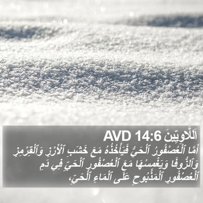 اَللَّاوِيِّينَ 14:6 AVD Bible Verse Image