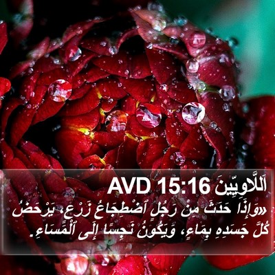 اَللَّاوِيِّينَ 15:16 AVD Bible Verse Image